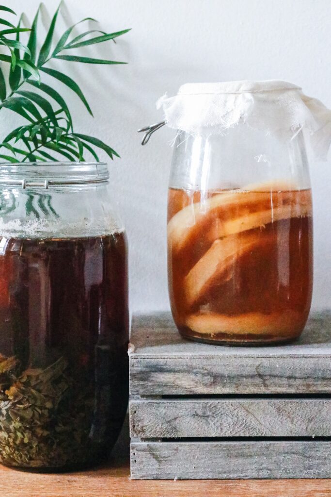 Kombucha, bebida obtida por meio da fermentação