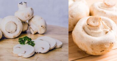 Champignon historia e benefícios nutricionais