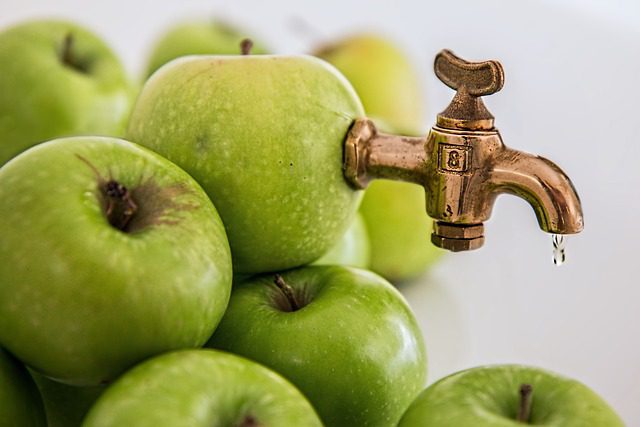 suco de maçã