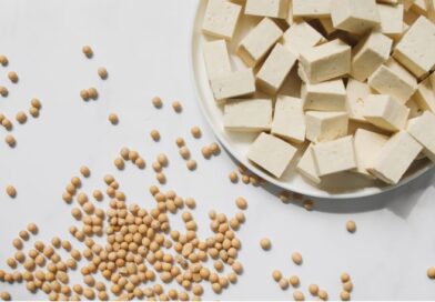 tofu benefícios e fonte de proteina
